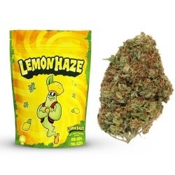 Susz CBD Lemon Haze - CBD