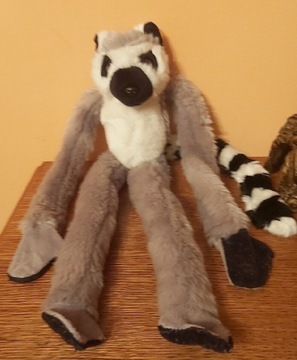 Lemur maskotka pamiątka z Madagaskaru. Afryka.