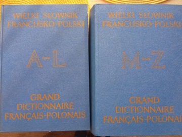 Wielki Słownik Francusko-Polski 