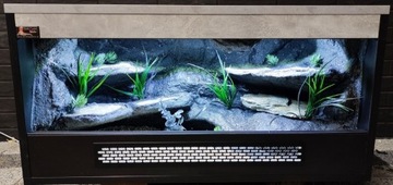 Terrarium dla gekona jaszczurki 80x40x40 