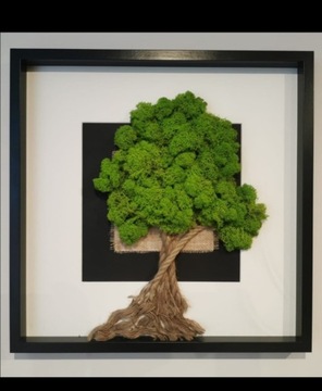 Obraz w ramie drzewko szczęścia 50x50