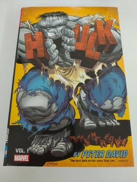 Incredible Hulk by Peter David Omnibus vol 1 HC