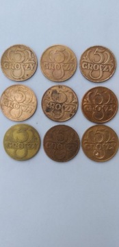 5 groszy 1923,25,28,31,35,36,37,38,39 r.