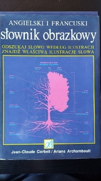 Słownik obrazkowy angielski i francuski