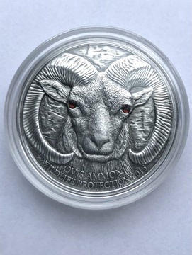 Owca Argali 2013 Mongolia 500 togrog srebrna 1 oz