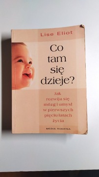 Co tam się dzieje Lise Eliot