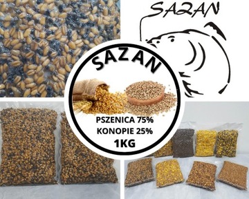 Zanęta wędkarska Pszenica z konopią1kg Sazan Baits