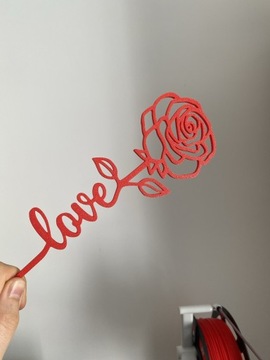 Róża 3D Wieczna Super