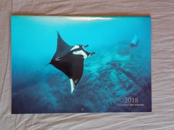 Duży kalendarz planszowy 2018 fotografie podwodne