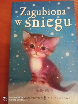 Zagubiona w śniegu. Holly Webb