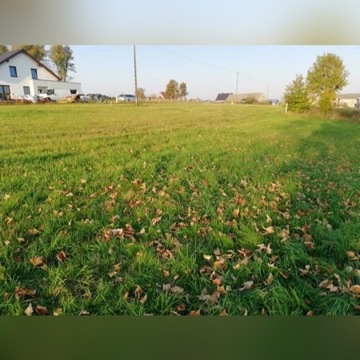 Miejsce na magazyn/domek/reklamę