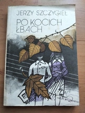 Książka Po kocich łbach  autor Jerzy Szczygieł