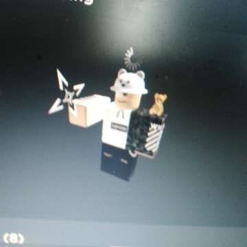 Konto roblox 