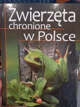 Zwierzęta chronione w Polsce - wyd. Horyzonty