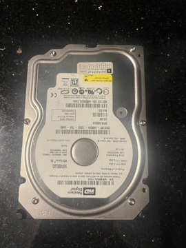 Dysk twardy Western Digital 80 GB SATA II 3,5"