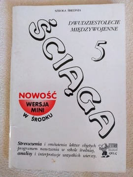 Ściąga 5 Dwudziestolecie międzywojenne Greg 1998