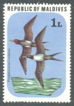 Malediwy - Ptaki w locie, luzak (zestaw 6244a)