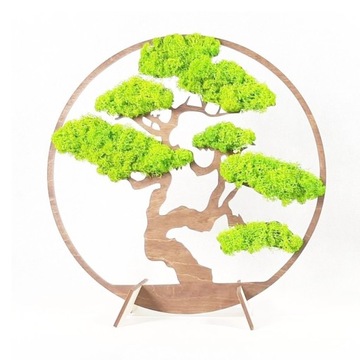 Na prezent drzewko bonsai z mchu