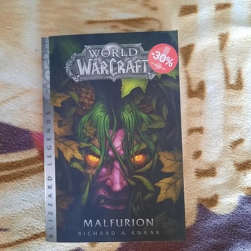 Książka  World of Warcraft 