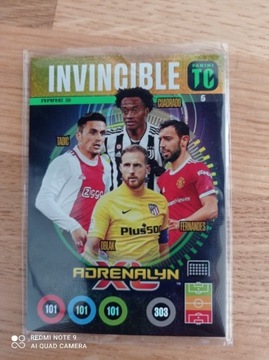 Panini top class Invincibke