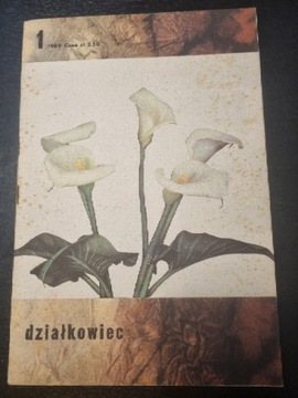 Działkowiec czasopismo 1969