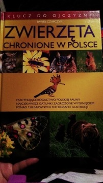 Paweł Czapczyk - Zwierzęta Chronione w Polsce