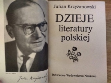 Julian Krzyżanowski - Dzieje literatury polskiej