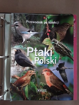 Ptaki polski przewodnik