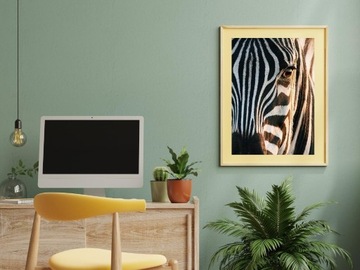 Plakat A3 Zebra
