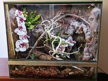 Terrarium 70x60x40