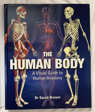 THE HUMAN - BODY ATLAS ANATOMICZNY - J. ANGIELSKI