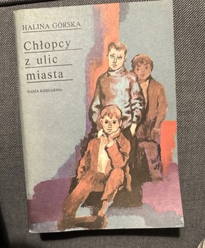 Chłopcy z ulic miasta - Halina Górska