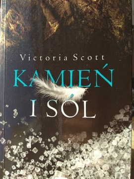 Kamień i sól Victoria Scott
