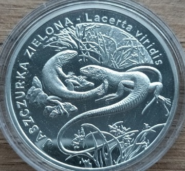 20zł 2009r. Jaszczurka Zielona L Ag925