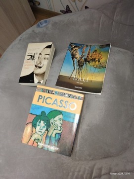 Książka Salwador Dali + Picasso