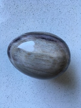 Skrzemieniałe drewno jajko kamień naturalny