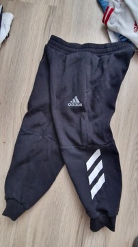 Spodnie Adidas r.104 stan bardzo dobry 