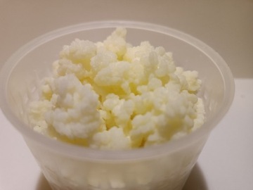 Grzybek tybetański kefir 25gram