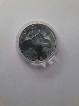 Kanada  5  Dollars  2017  Ryś