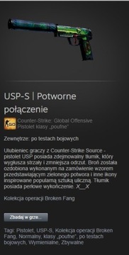 USP-S Potworne połączenie CS GO CS2 SKIN