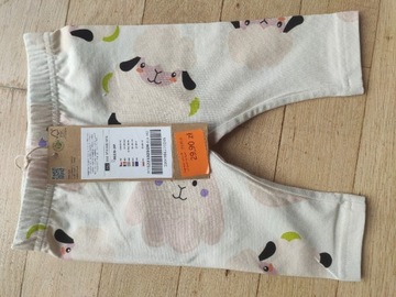 Legginsy coccodrillo r 62, nowe z metką 