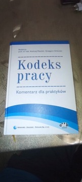 Kodeks pracy 2016 komentarz dla praktyków 