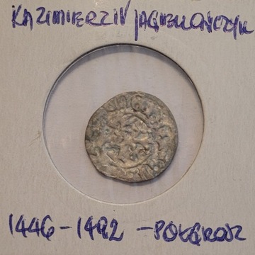 Półgrosz Kazimierz IV Jagiellończyk1446-1492r(496)