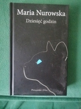 Dziesięć godzin - Maria Nurowska