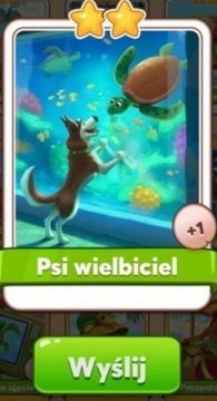 Psi wielbiciel Coin Master