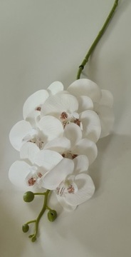 Storczyk Orchidea Silikonowy jak Żywy biały 89cm