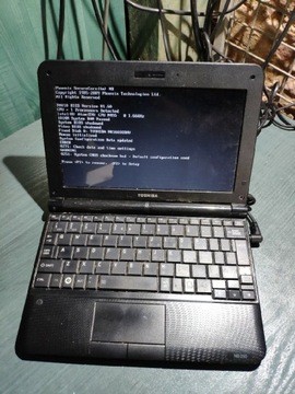 Laptop Toshiba NB250-101