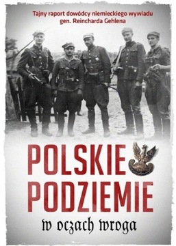 Polskie podziemie w oczach wroga.