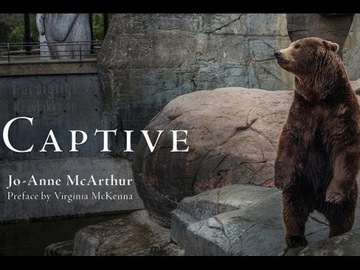 Jo-Anne McArthur - Captive