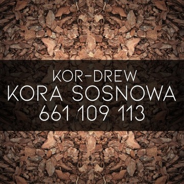 Kora Sosnowa 80L Kujawsko Pomorskie  Dowóz Gratis